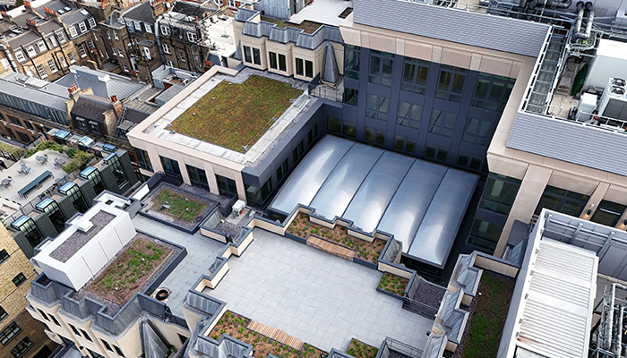 World-Green-Roof-Day